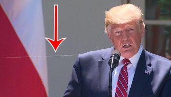 Una telaraña se coló en una conferencia de Trump
