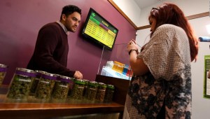 A US$ 15.000 millones en ventas podría llegar industria del cannabis en 2019