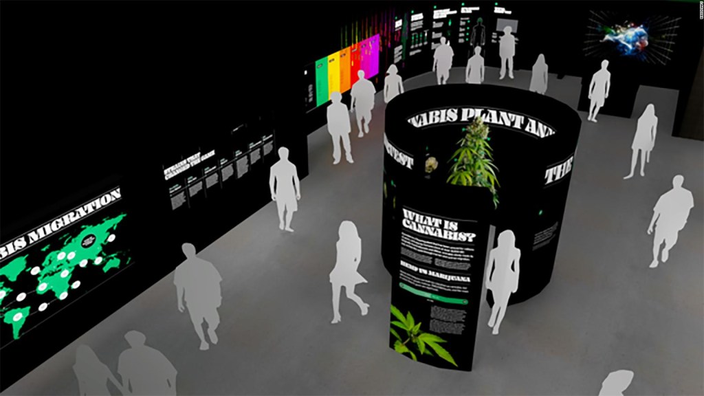 El Museo de la Marihuana llega a Hollywood