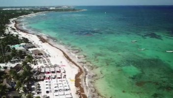 Invasión de sargazos en Cancún