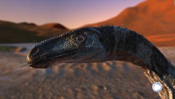 Encuentran nuevo dinosaurio en Brasil
