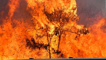 Incendio quema más de 1.200 en Maui, Hawai
