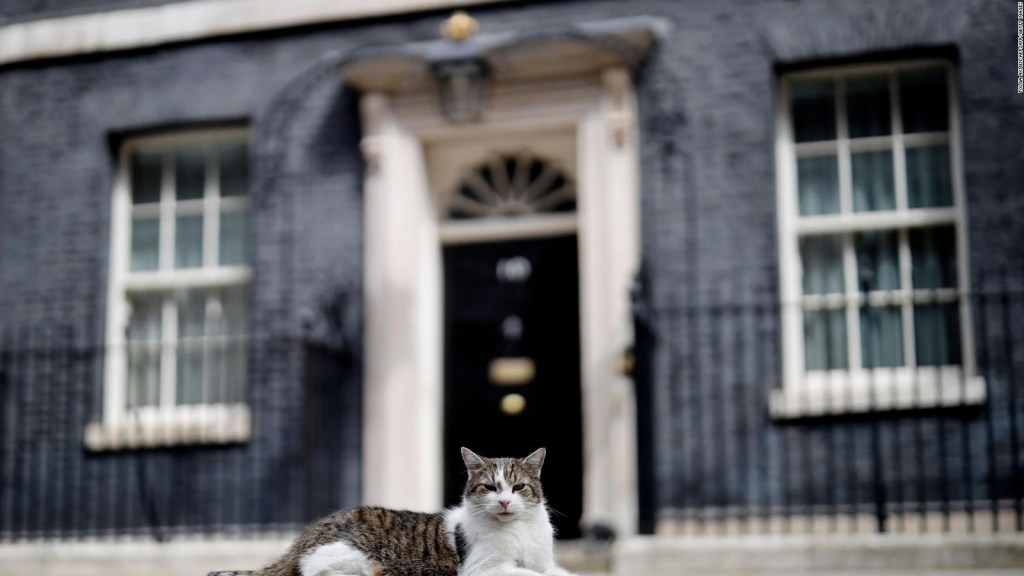 El gato Larry espera conocer al nuevo primer ministro