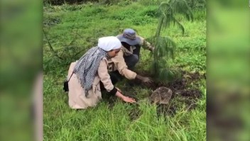 Plantan 353 millones de árboles en Etiopía en solo 12 horas