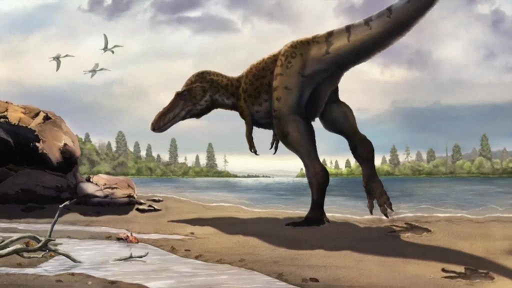 Descubren el primer Tyrannosauripus en China