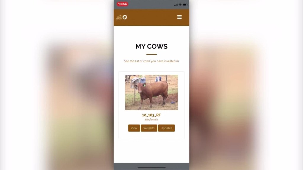 Aplicación móvil permite invertir en vacas