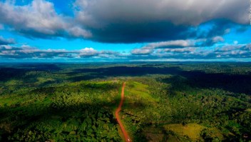 ¿Cuál será el futuro de la selva amazónica en Brasil?