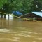 150 muertos y 17 desaparecidos por lluvias en La India