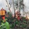 Amazonía y la deforestación como causante de incendios