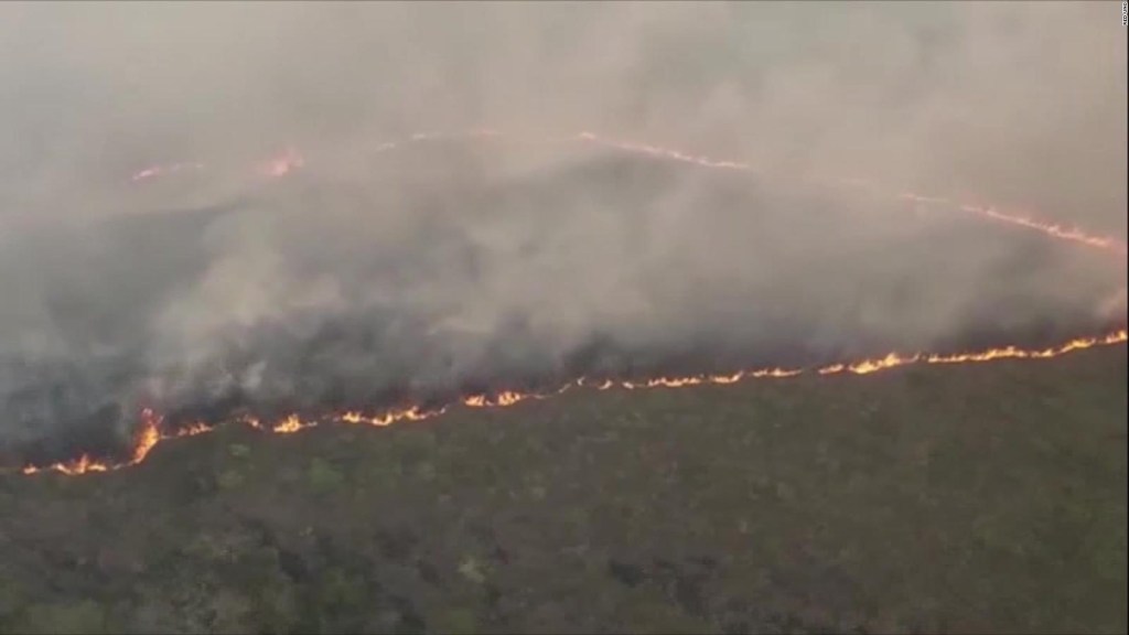 Incendios en Bolivia: "Una verdadera catástrofe ambiental"