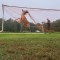Hombre libera a un ciervo de una red de fútbol