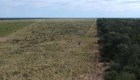 La realidad en el Chaco tras la deforestación