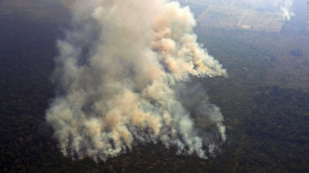 Incendios en el Amazonas y cambio climático en América Latina