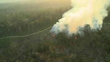 Amazonas: estremecedoras imágenes de crímenes ambientales