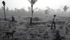 Incendios en el Amazonas: diferencia entre hechos y redes