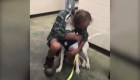 Emotivo reencuentro de un perro con su dueño en Memphis