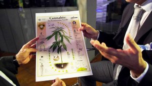 Legalizar marihuana generaría "miles de millones de dólares al año"