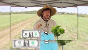 YouTube plantará 20.000.000 de árboles