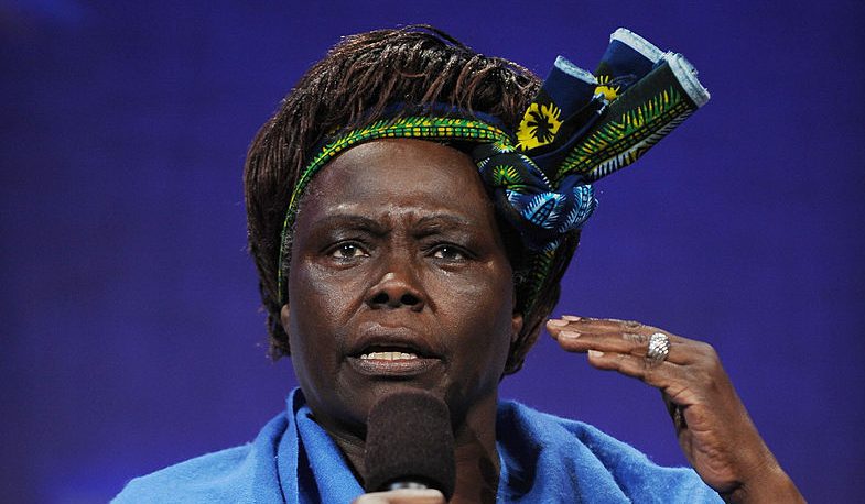 El Premio Nobel de la Paz 2004, Wangari Muta Maathai: "Por su contribución al desarrollo sostenible, la democracia y la paz".
