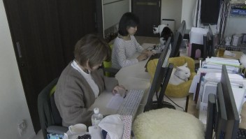 Japón permite llevar mascotas al trabajo