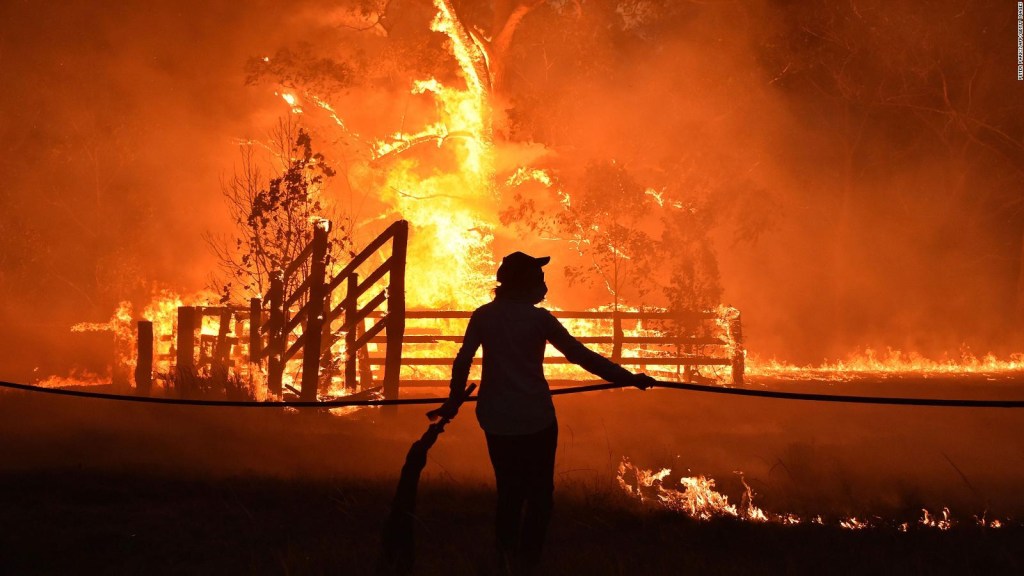 En Australia, incendios forestales dejan cuatro muertos