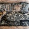 Inusual hallazgo de momias de animales sagrados en Egipto