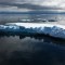 calentamiento global hielo artico virus especies moquillo