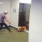 Salva a un perro luego que su correa se atorara en el elevador