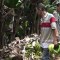 ¿Cómo impacta la crisis a los campesinos venezolanos?