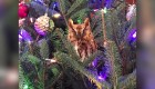 Hallan un búho en el árbol de Navidad de una familia en Atlanta