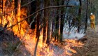 ¿Impacta el humo de incendios y volcanes en el ecosistema?