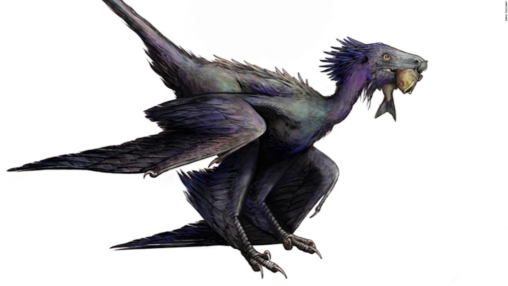 Descubren nueva especie de dinosaurio con plumas