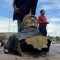View of a bust of Bolivian ex-President Evo Morales after it was knocked down by employees of the Bolivian Ministry of Sports outside a sports center in Cochabamba, Bolivia, on January 13, 2020. - The sports center, which used to be called Evo Morales, changed its name for Quillacollo. (Photo by STR / AFP) (Photo by STR/AFP via Getty Images)