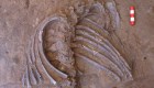 Esqueleto de 70.000 años revela información sobre ritos