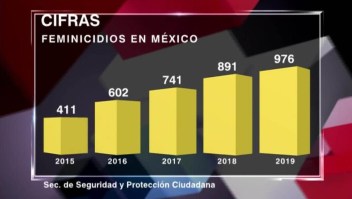 El feminicidio en México en cifras