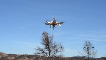 Dronecoria: Drones para reforestar a bajo costo