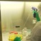 Este laboratorio lucha por una vacuna contra el coronavirus