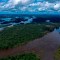 Amazonas: ¿la selva que podría ser sabana?