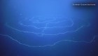 Hallaron una enorme criatura en el océano Índico