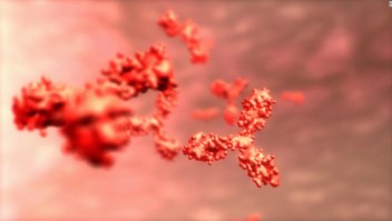 ¿Qué son las pruebas de anticuerpos y qué significan para la pandemia de coronavirus?