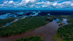 Aumenta la deforestación en la Amazonía