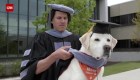 Moose, el perro que obtuvo un título universitario