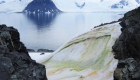 El cambio climático podría empeorar la nieve verde en la Antártida