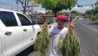 Crisis de salud en Nicaragua provoca la compra de remedios en las calles