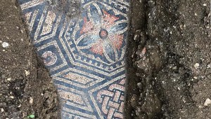 Este hermoso mosaico romano estaba oculto bajo un viñedo