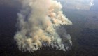 Científicos temen que incendios en selva amazónica podrían empeorar este año