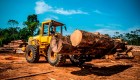 Deforestación alcanzó su peor registro en el 2019
