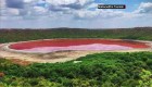 India: el lago Lonar se torna rosado
