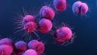 El coronavirus transmitido por asintomáticos "parece ser raro", dice un funcionario de la OMS