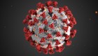 La mutación del virus SARS-CoV-2 ya fue identificada